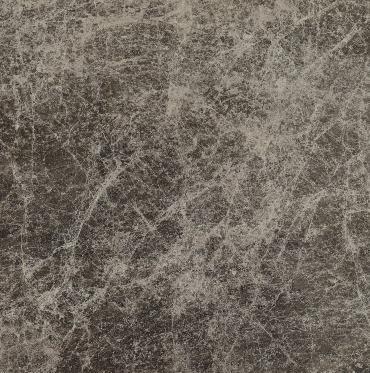 Emperador Dark Polished 12'' x 12''  x 3/8'' Field Tile Building Materials Emperador Dark  12'' x 12'' Marble Field Tile