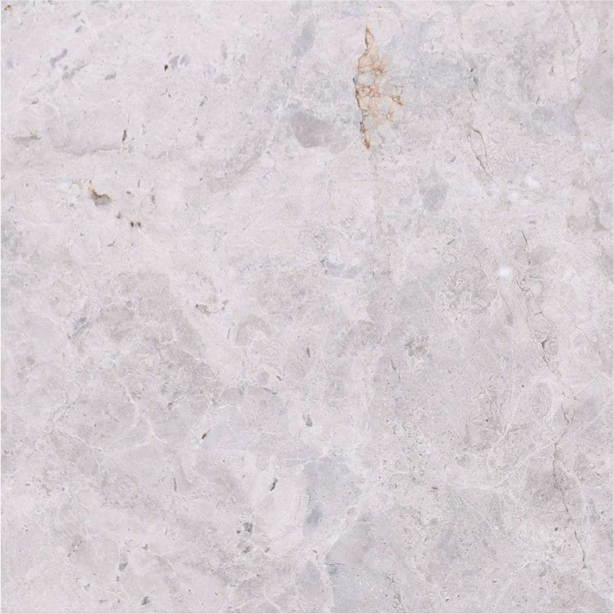 Tundra Grey Honed 12'' x 12''  x 3/8'' Field Tile