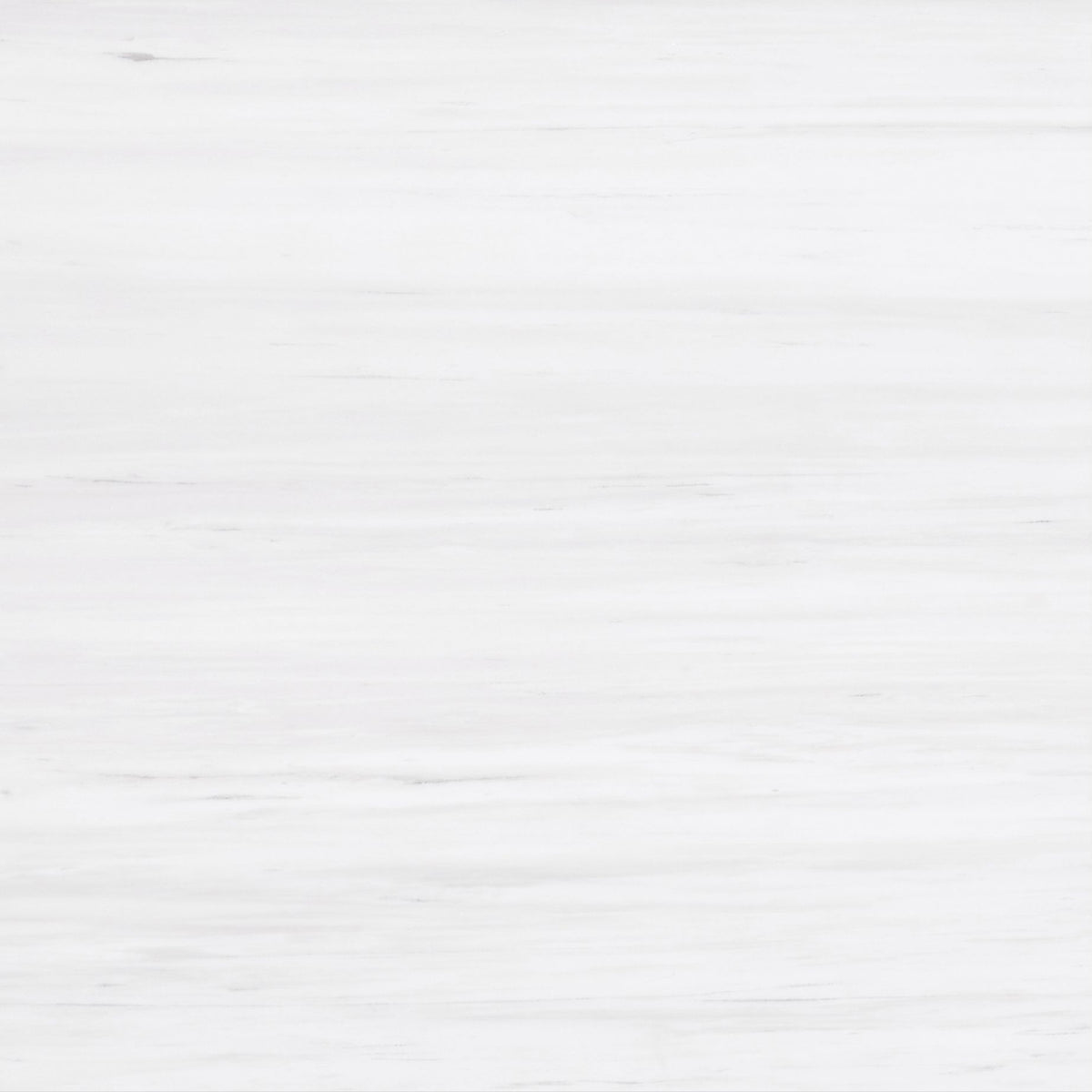 Glacier White Alanur Honed 18'' x 18''  x 1/2'' Field Tile