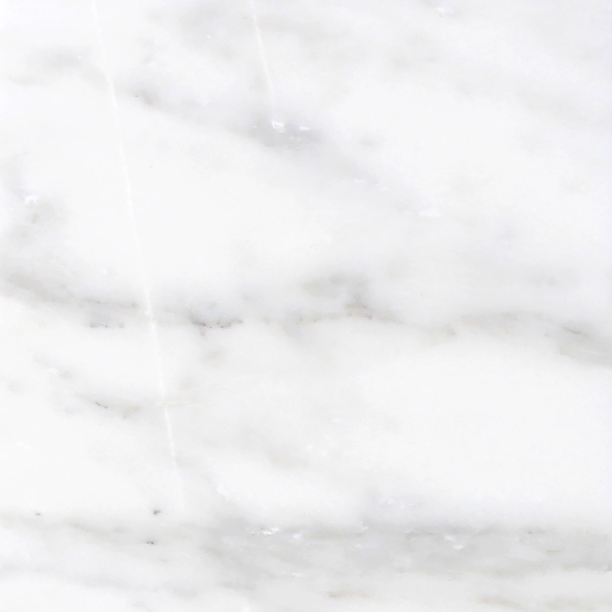 Calacatta Vida Honed 18'' x 18''  x 3/8'' Field Tile