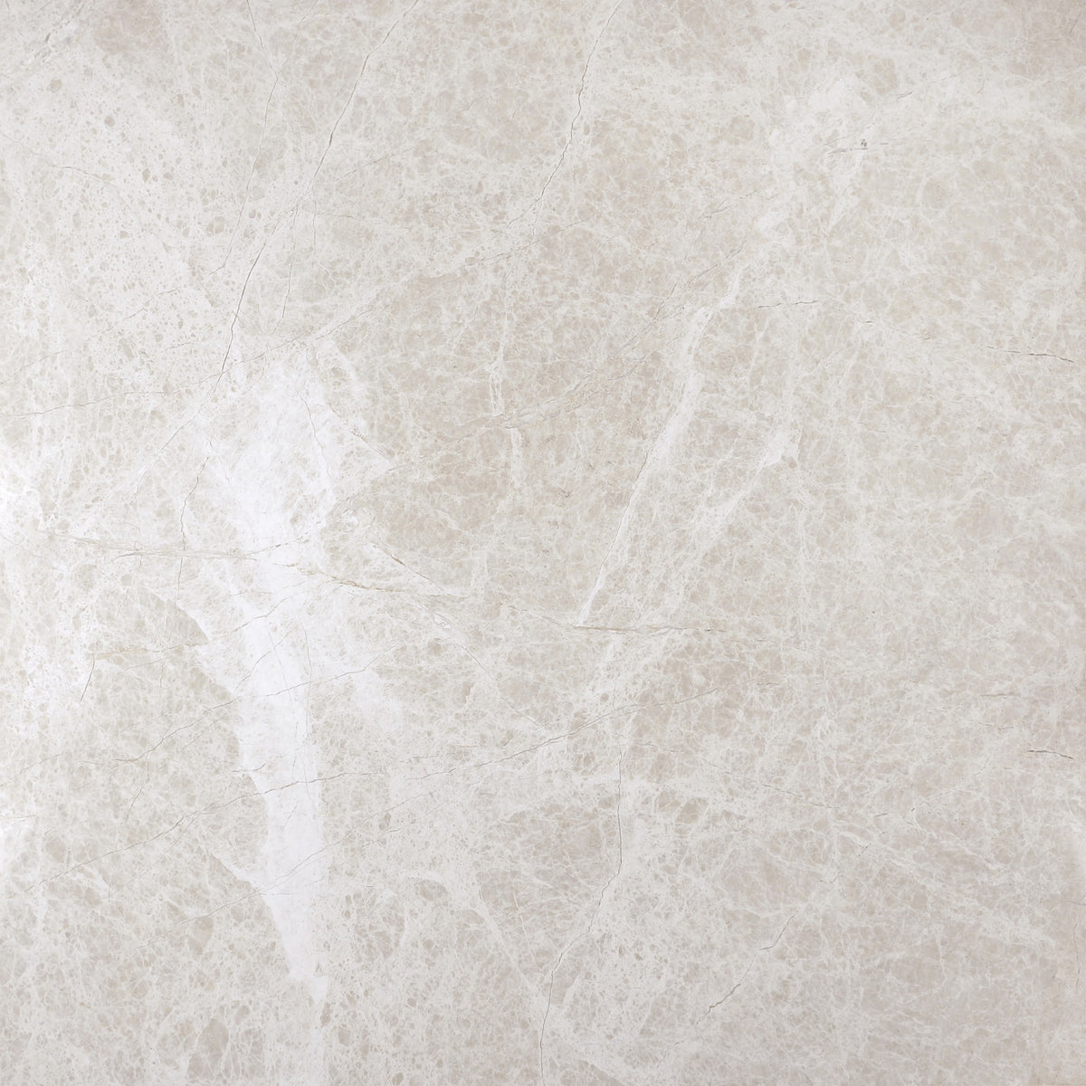 Vanillish Pearl Honed 24'' x 24''  x 5/8'' Field Tile