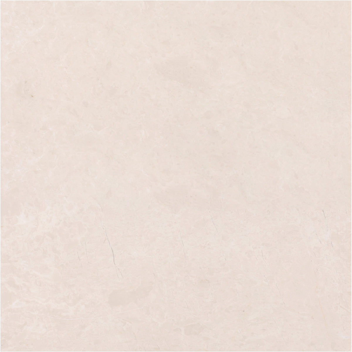 Crema Ella Polished 18'' x 18''  x 5/8'' Field Tile Building Materials 