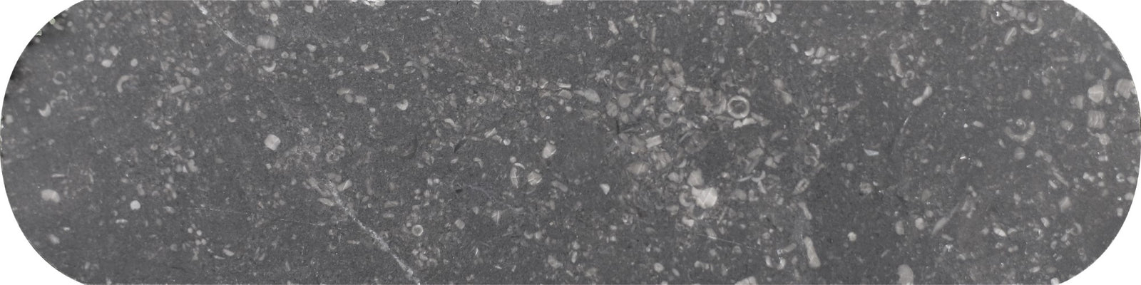Belgian Blue Honed Tivoli 2'' x 8''  x 3/8'' Field Tile Building Materials 