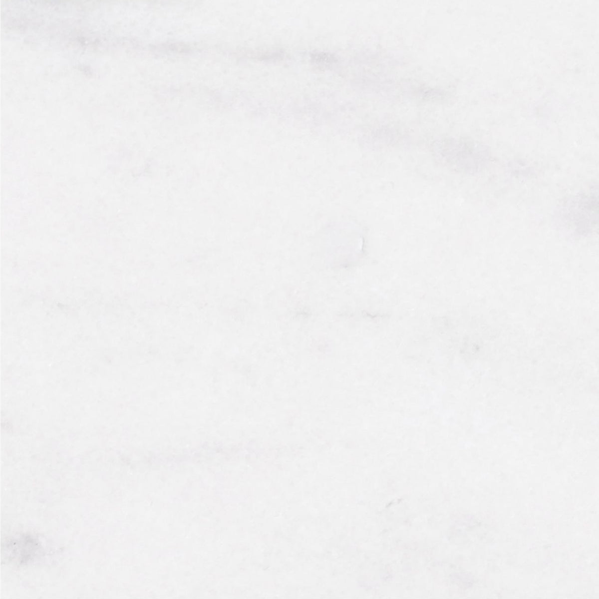 Alba Vera Honed 12'' x 12''  x 3/8'' Field Tile