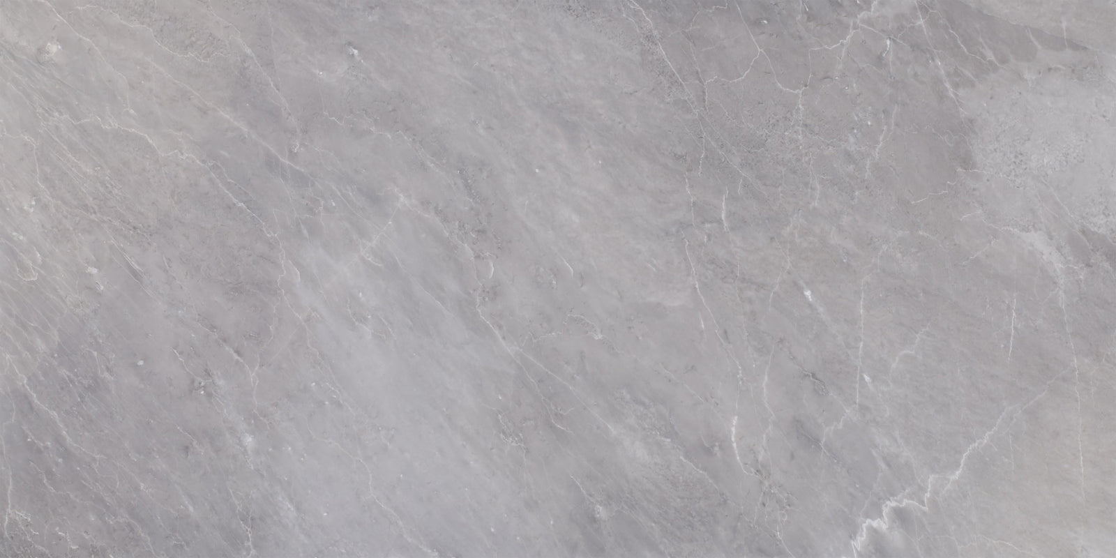 Earth Grey Polished 12'' x 24''  x 1/2'' Field Tile Building Materials 
