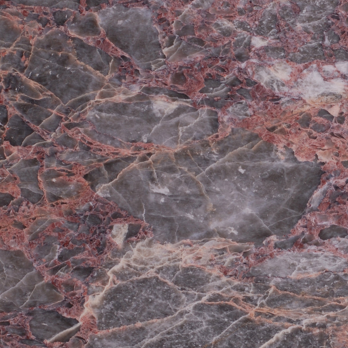 Salome Polished 12'' x 12''  x 3/8'' Field Tile