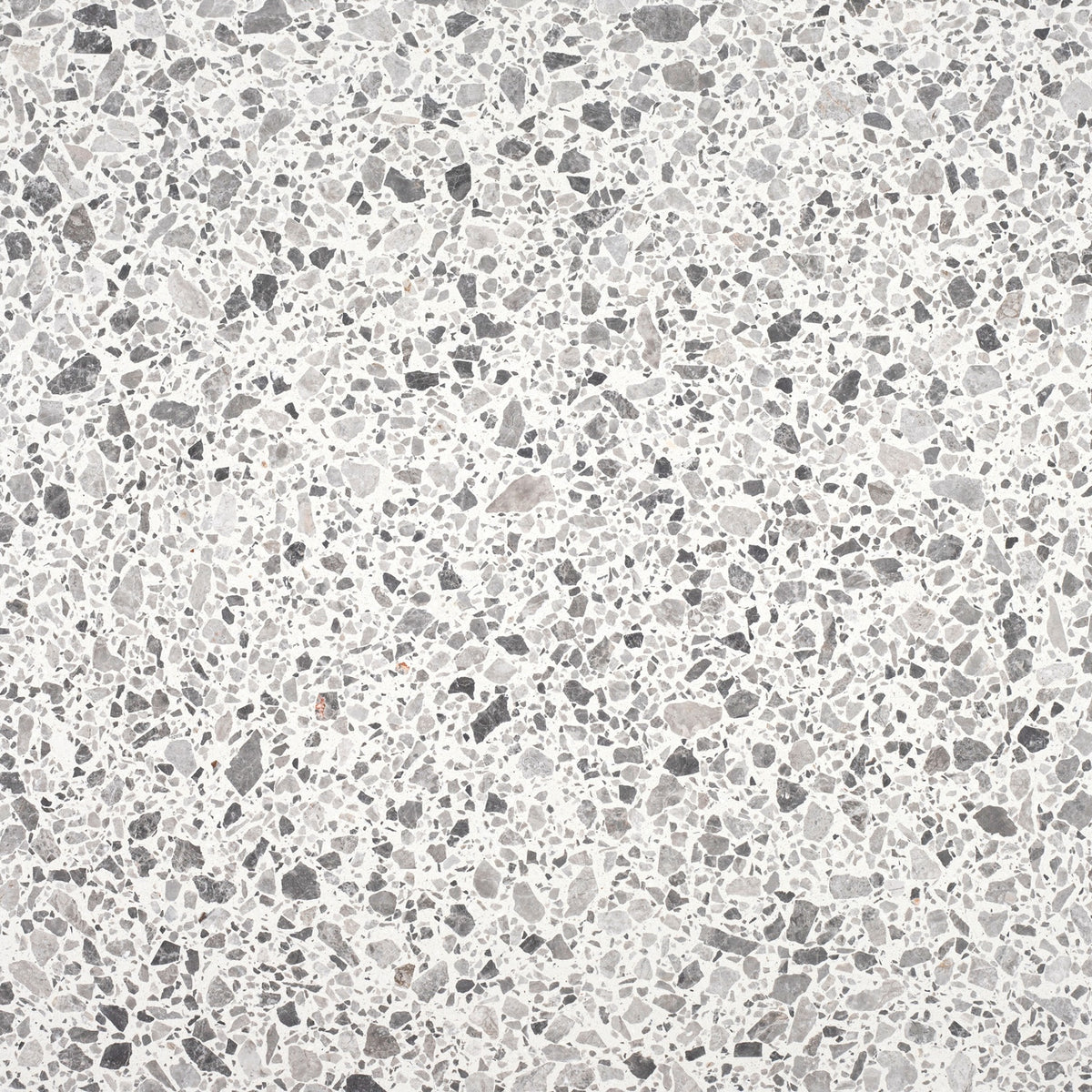 Tundra Grey Honed 24&#39;&#39; x 24&#39;&#39;  x 1/2&#39;&#39; Terrazzo Field Tile #24