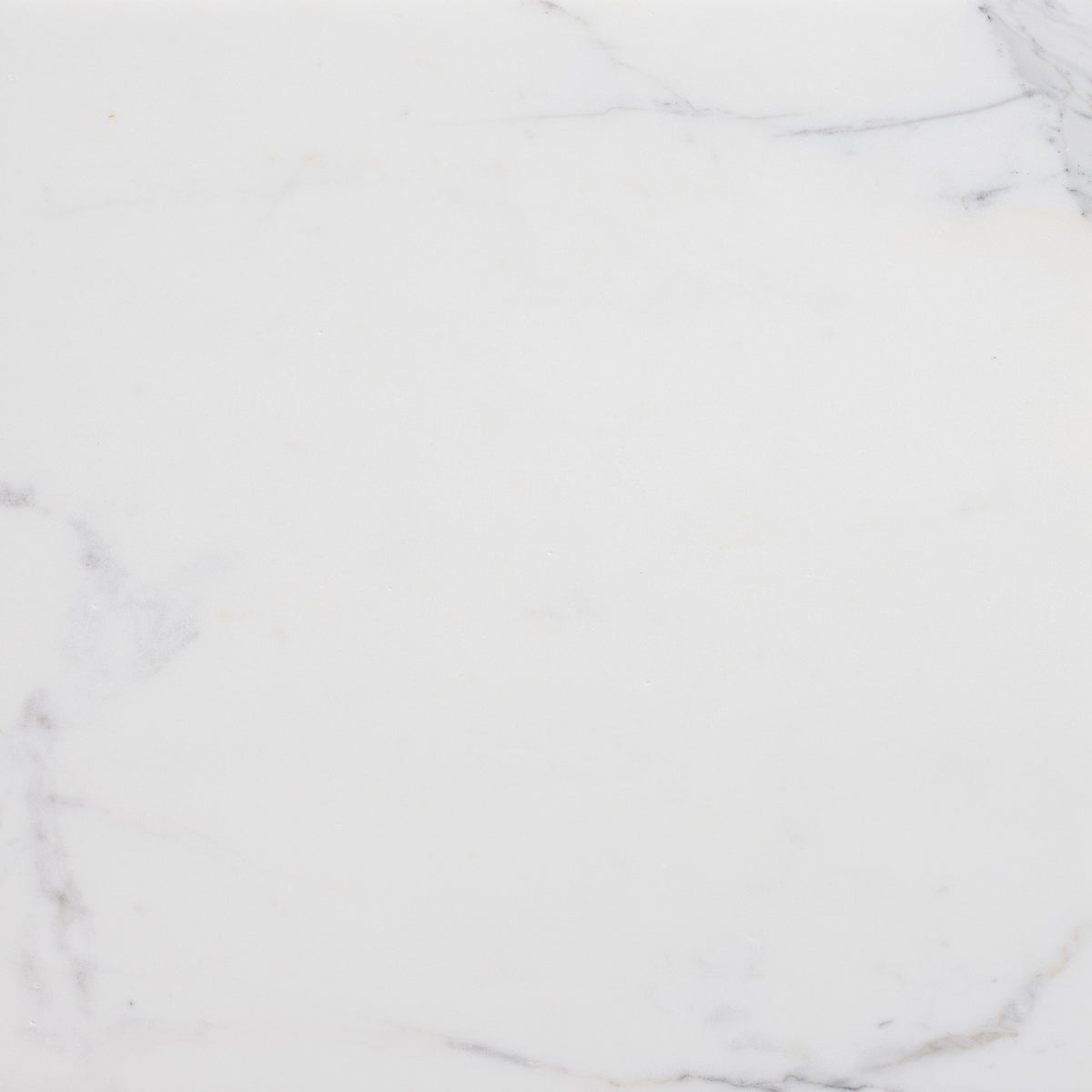 Statuario Extra Honed 18'' x 18''  x 1/2'' Field Tile