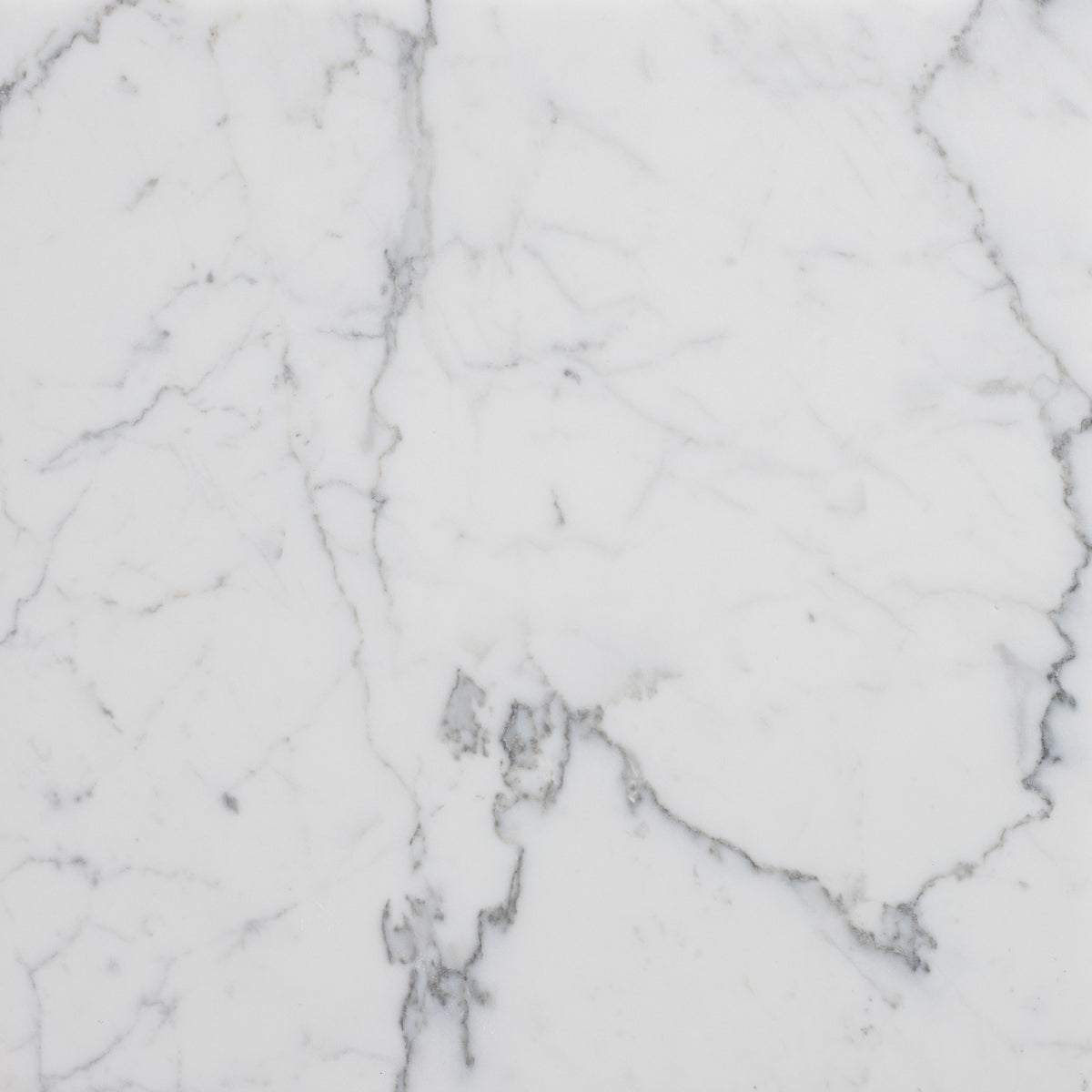 Statuario Extra Honed 18'' x 18''  x 1/2'' Field Tile