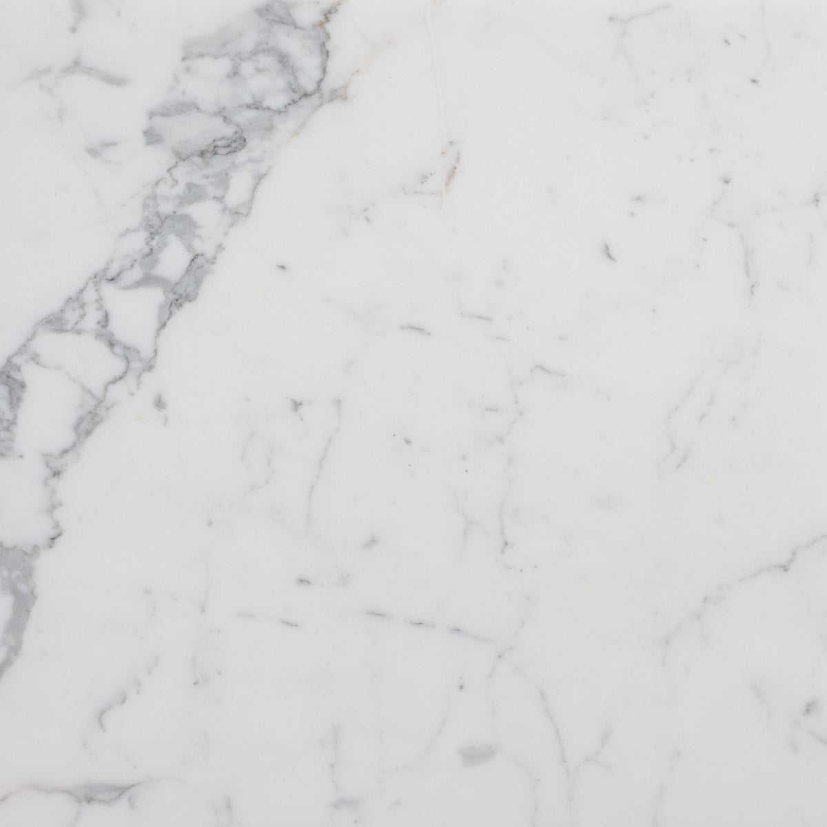 Statuario Extra Honed 18'' x 18''  x 1/2'' Field Tile