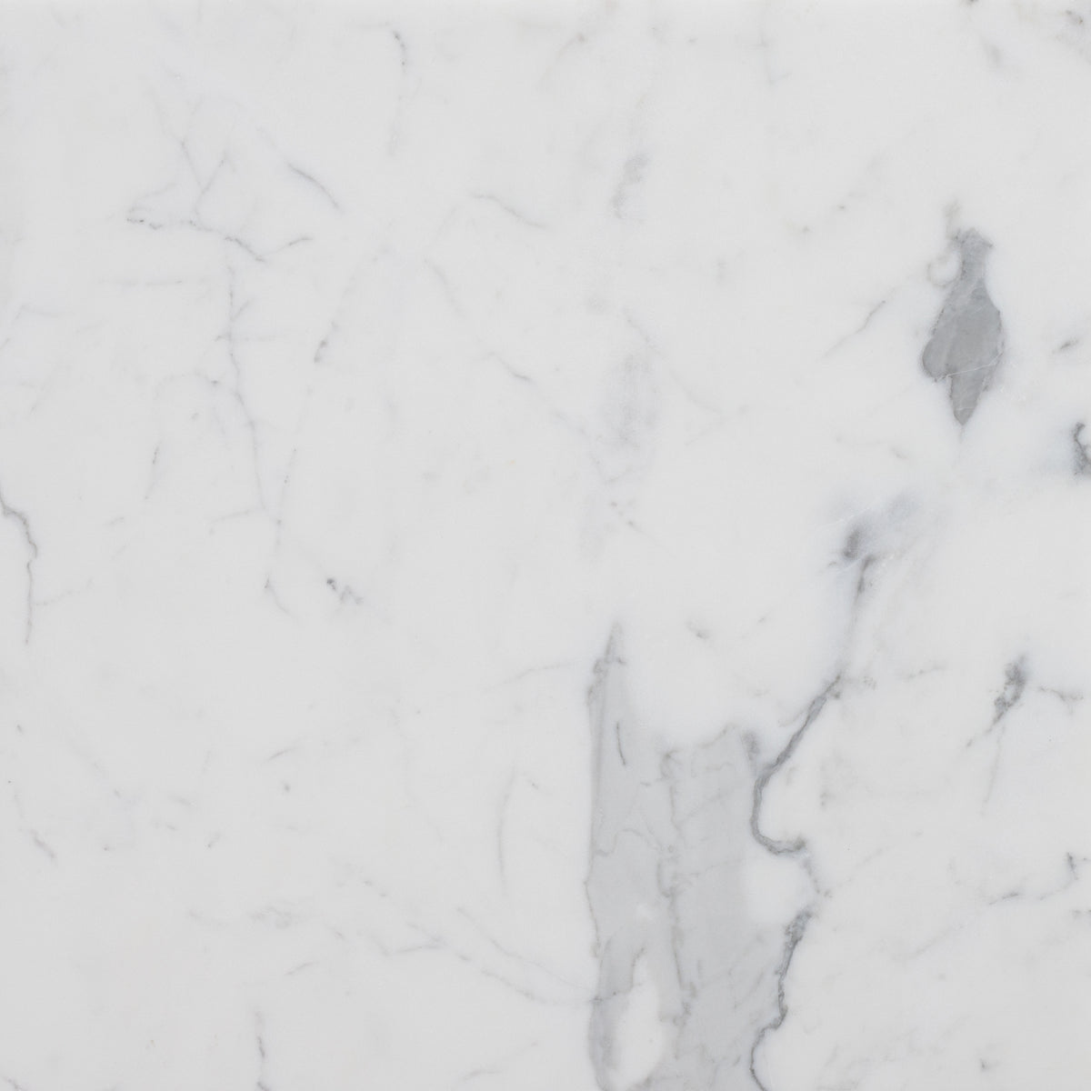 Statuario Extra Honed 18'' x 18''  x 1/2'' Field Tile