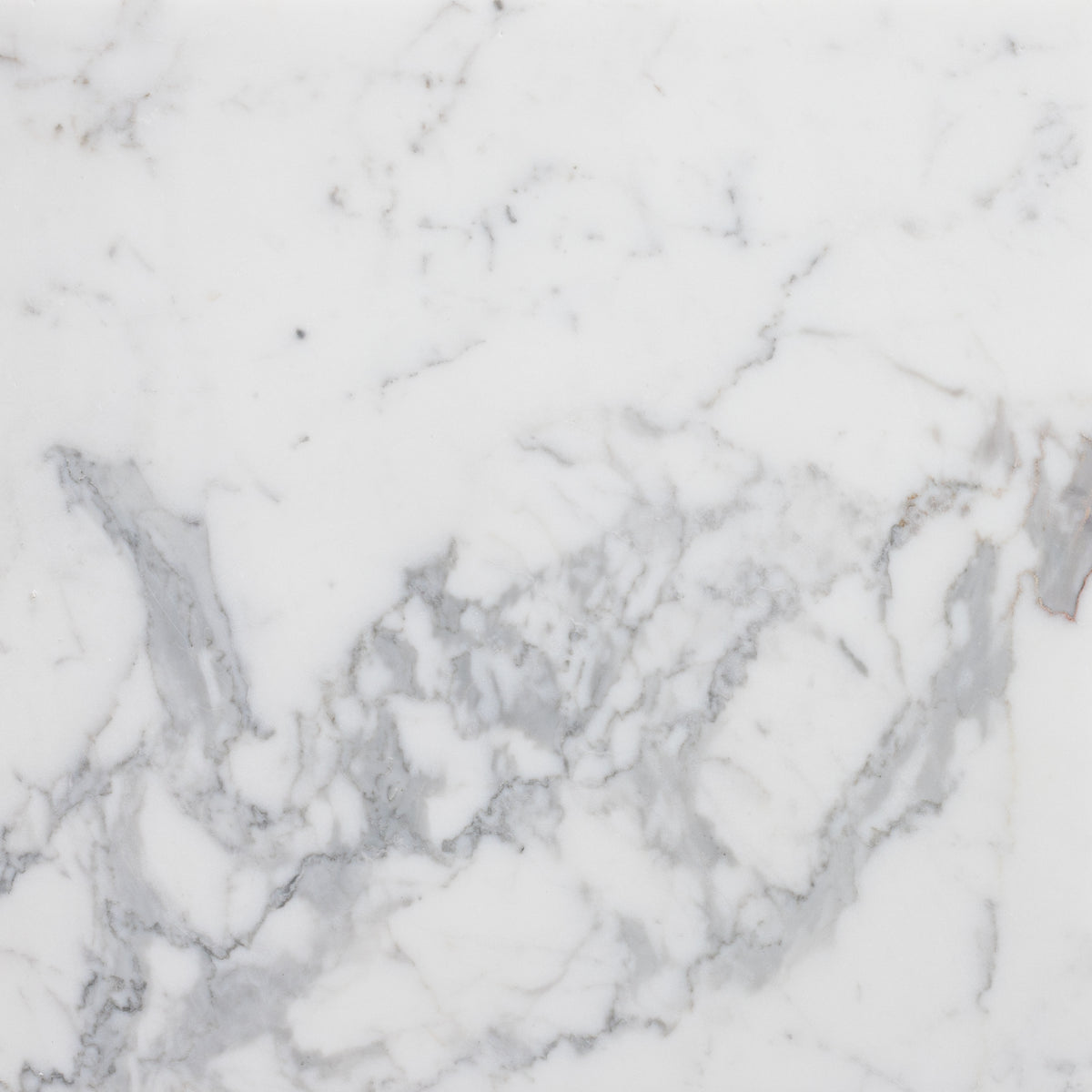 Statuario Extra Honed 18'' x 18''  x 1/2'' Field Tile