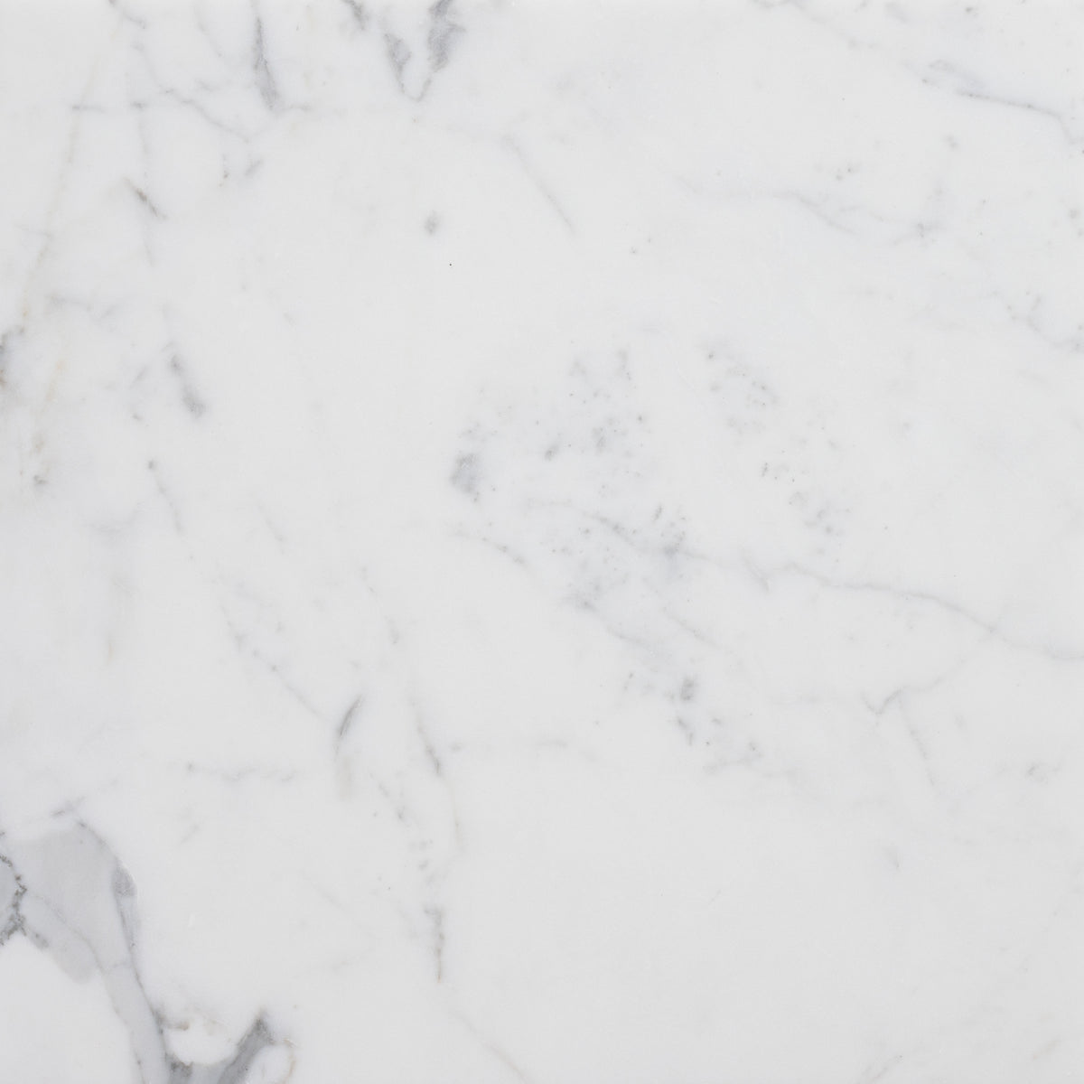 Statuario Extra Honed 18'' x 18''  x 1/2'' Field Tile
