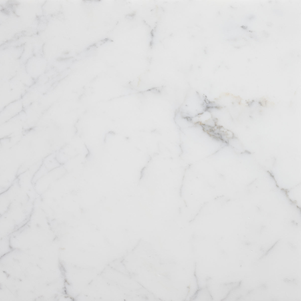 Statuario Extra Honed 18'' x 18''  x 1/2'' Field Tile