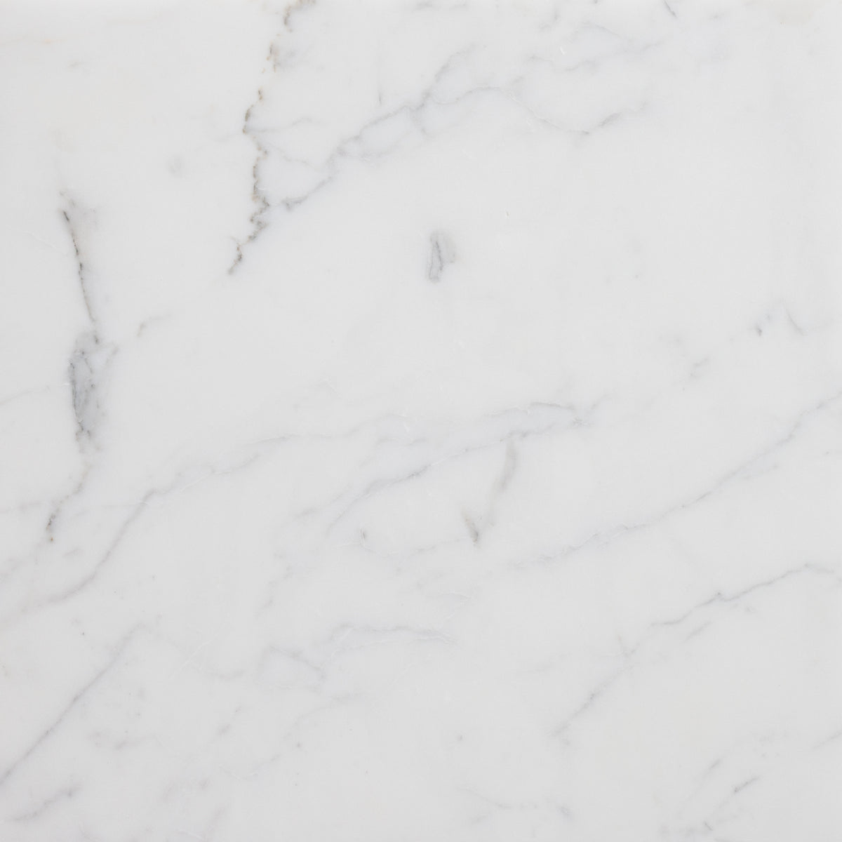 Statuario Extra Honed 18'' x 18''  x 1/2'' Field Tile