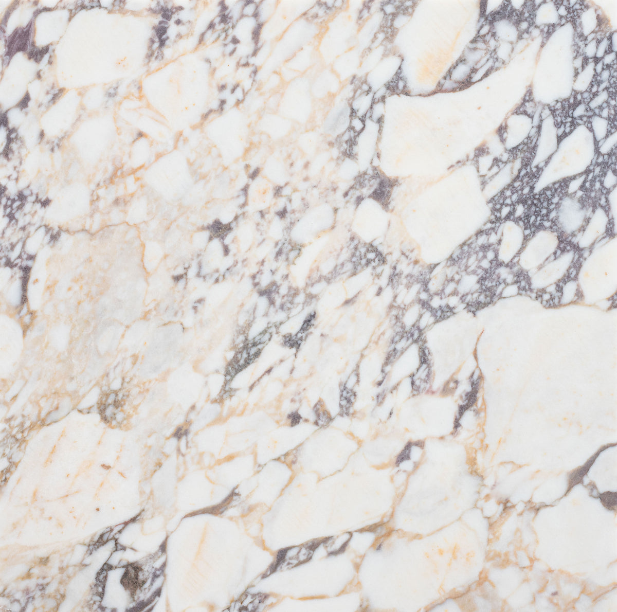 Calacatta Viola Honed 18'' x 18''  x 1/2'' Field Tile