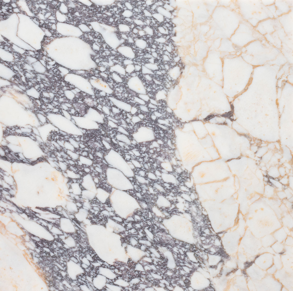 Calacatta Viola Honed 18'' x 18''  x 1/2'' Field Tile