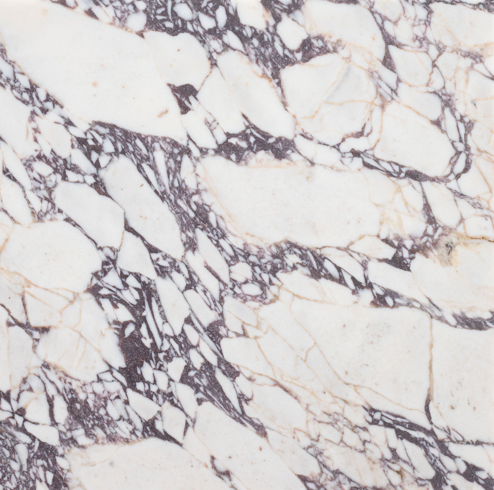 Calacatta Viola Honed 18'' x 18''  x 1/2'' Field Tile Building Materials 