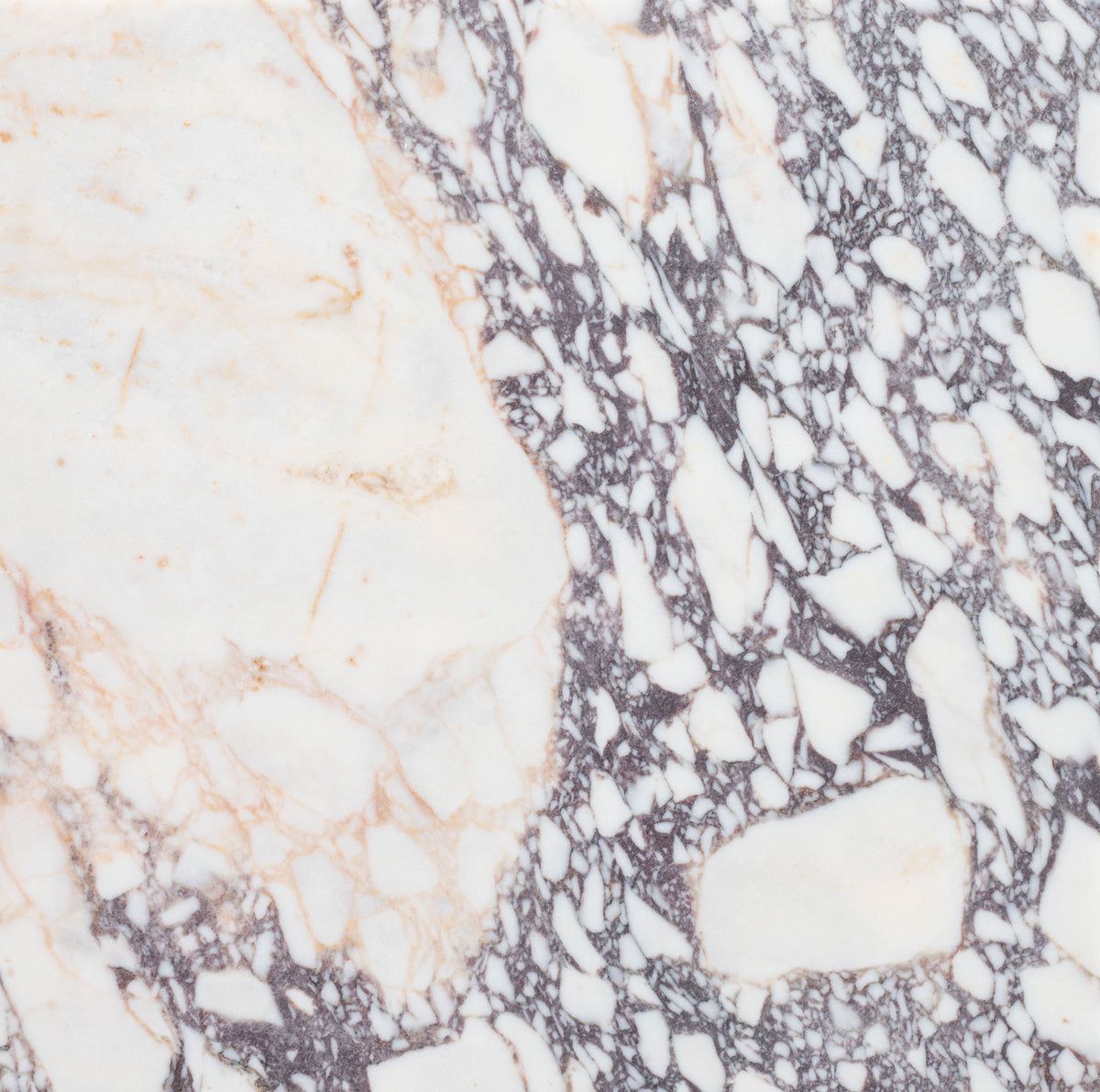 Calacatta Viola Honed 18'' x 18''  x 1/2'' Field Tile