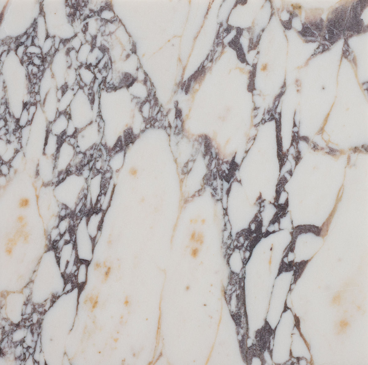Calacatta Viola Honed 12'' x 12''  x 3/8'' Field Tile Building Materials 