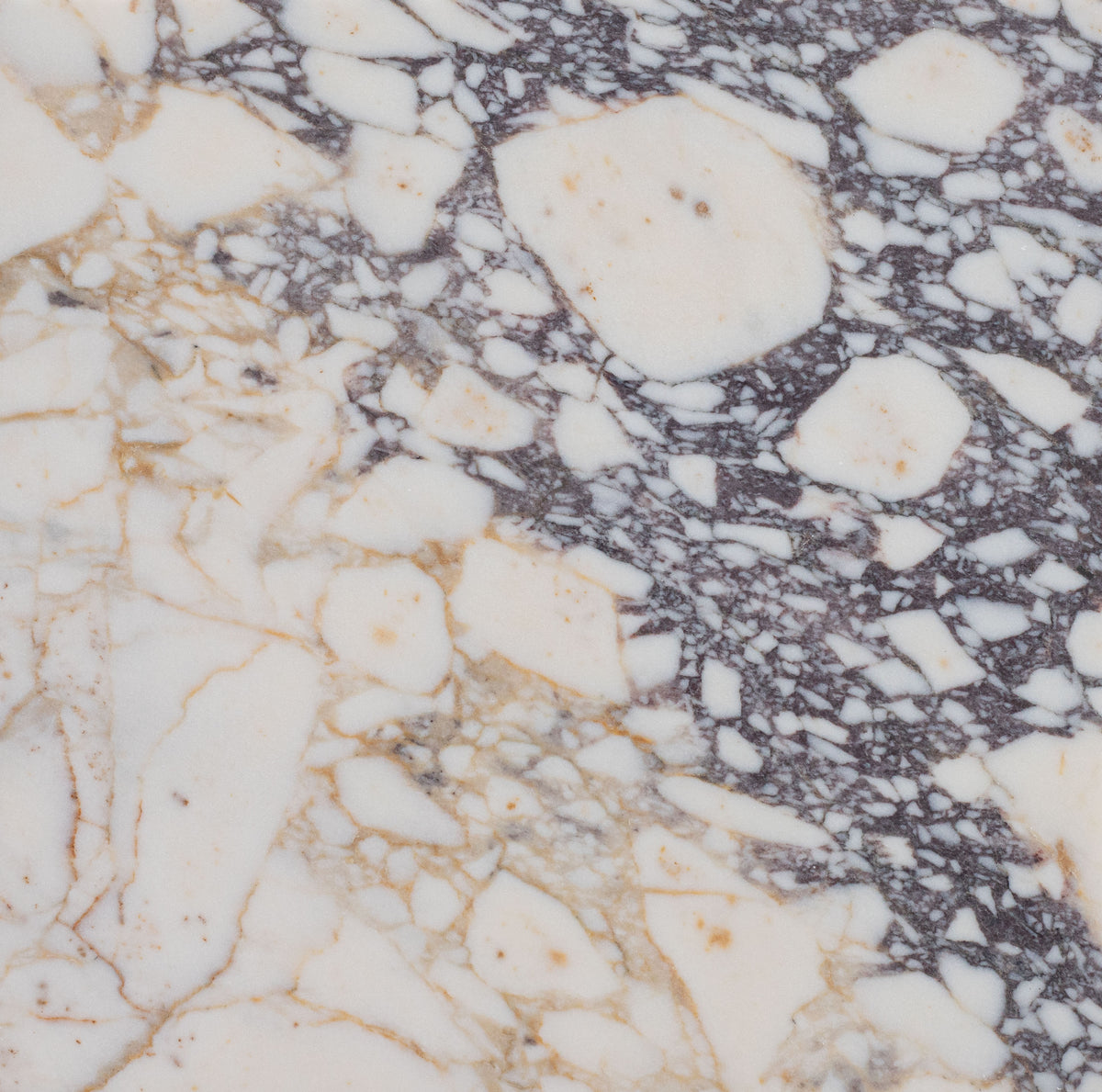 Calacatta Viola Honed 12'' x 12''  x 3/8'' Field Tile