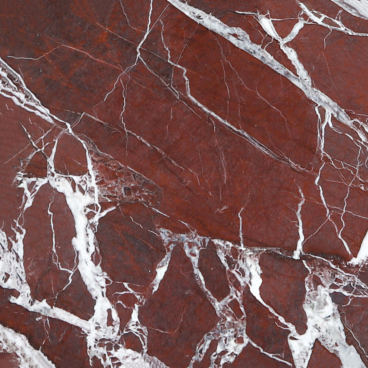 Rosso Levanto Honed 12'' x 12''  x 3/8'' Field Tile