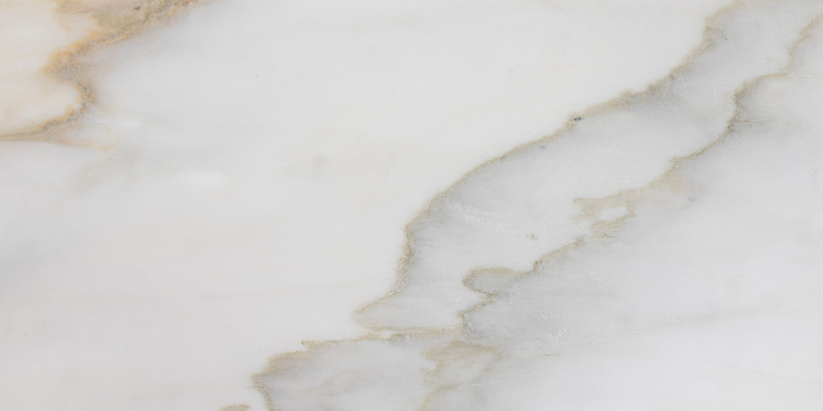 Cremo Delicato Honed 12'' x 24''  x 3/8'' Field Tile Building Materials 