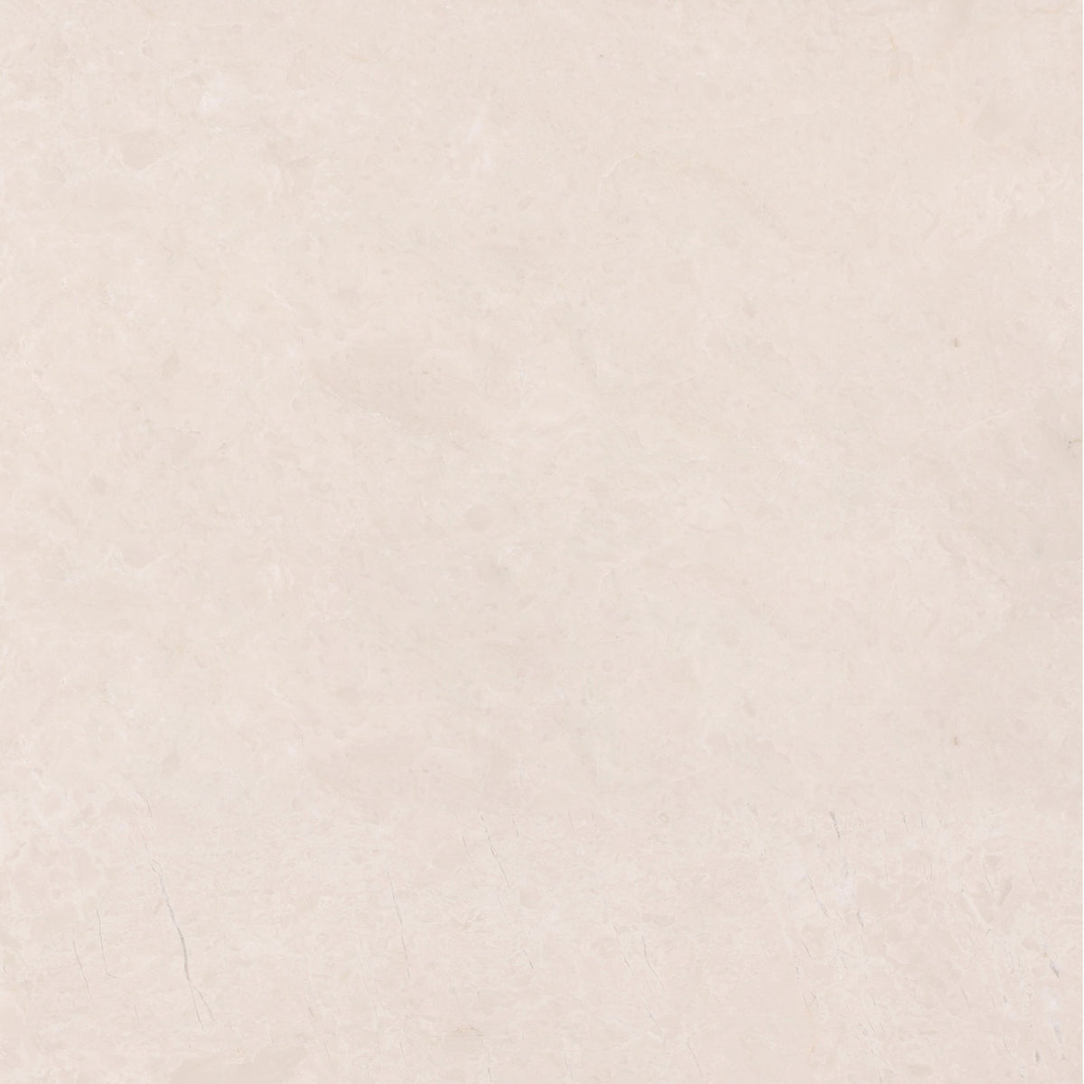 Crema Ella Polished 18'' x 18''  x 5/8'' Field Tile Building Materials 