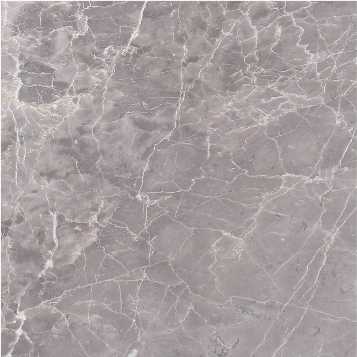 Earth Grey Honed 12'' x 12''  x 3/8'' Field Tile