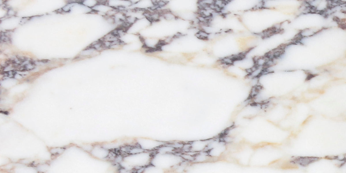 Calacatta Viola Polished 12'' x 24''  x 3/8'' Field Tile