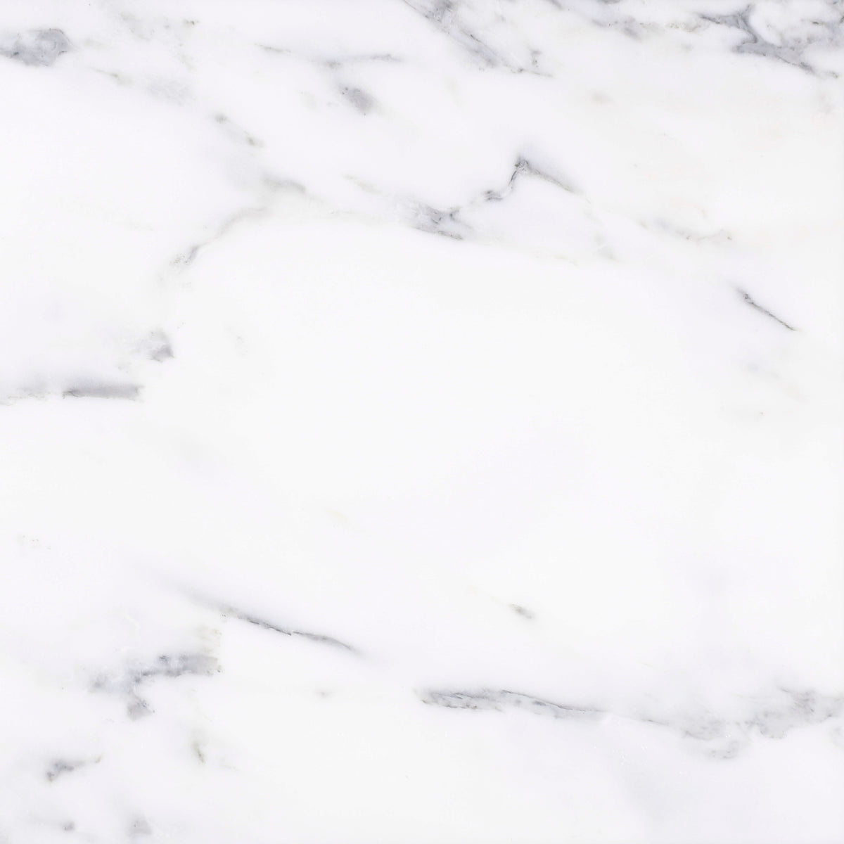 Statuario Honed 12'' x 12''  x 3/8'' Field Tile