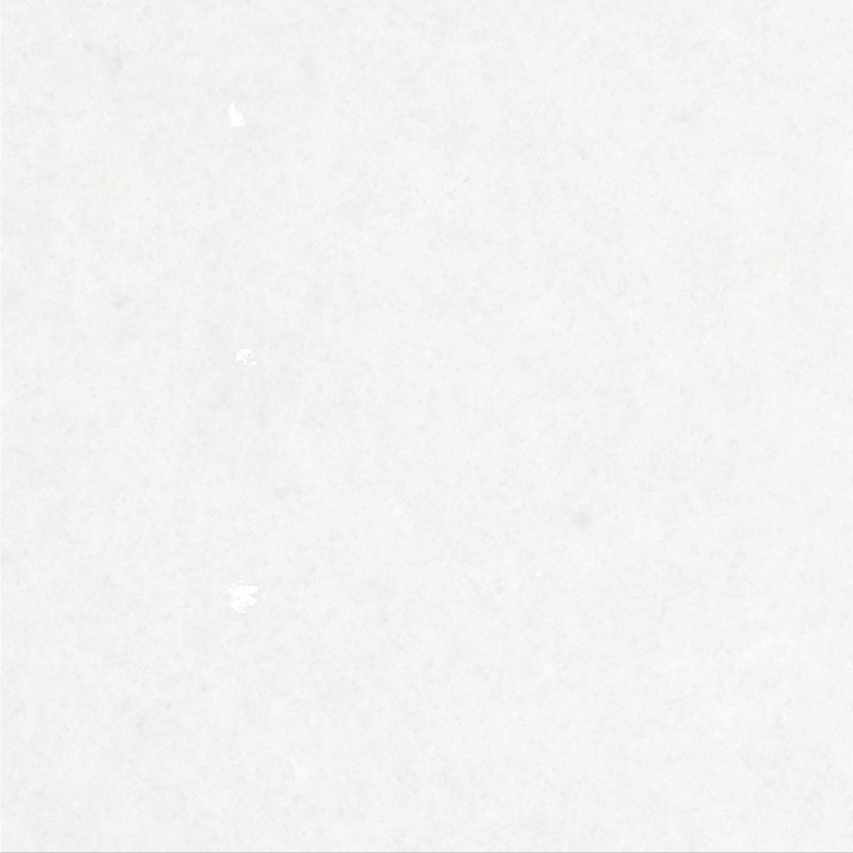 Snow White Honed 12'' x 12''  x 3/8'' Field Tile