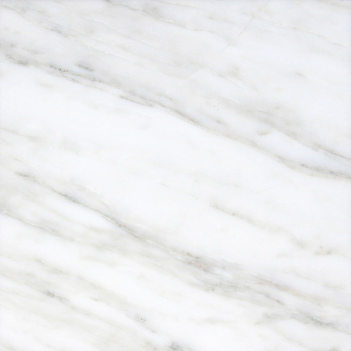 Calacatta Vida Honed 24'' x 24''  x 3/8'' Field Tile