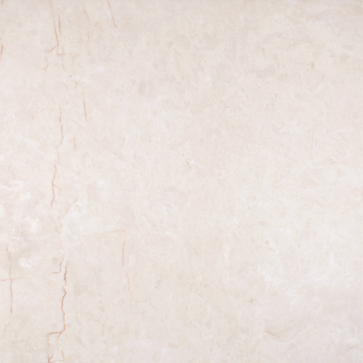 Crema Ella Honed 16'' x 16''  x 1/2'' Field Tile Building Materials 