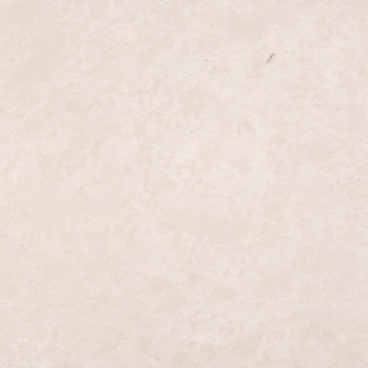 Crema Ella Polished 12'' x 12''  x 3/8'' Field Tile