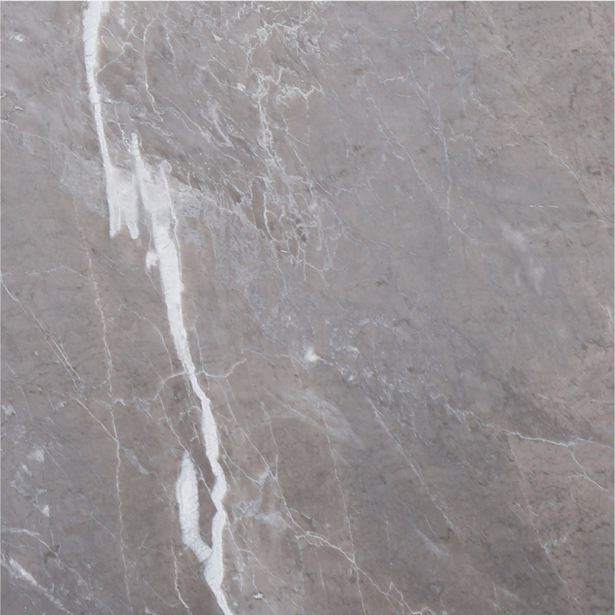 Earth Grey Honed 12'' x 12''  x 3/8'' Field Tile