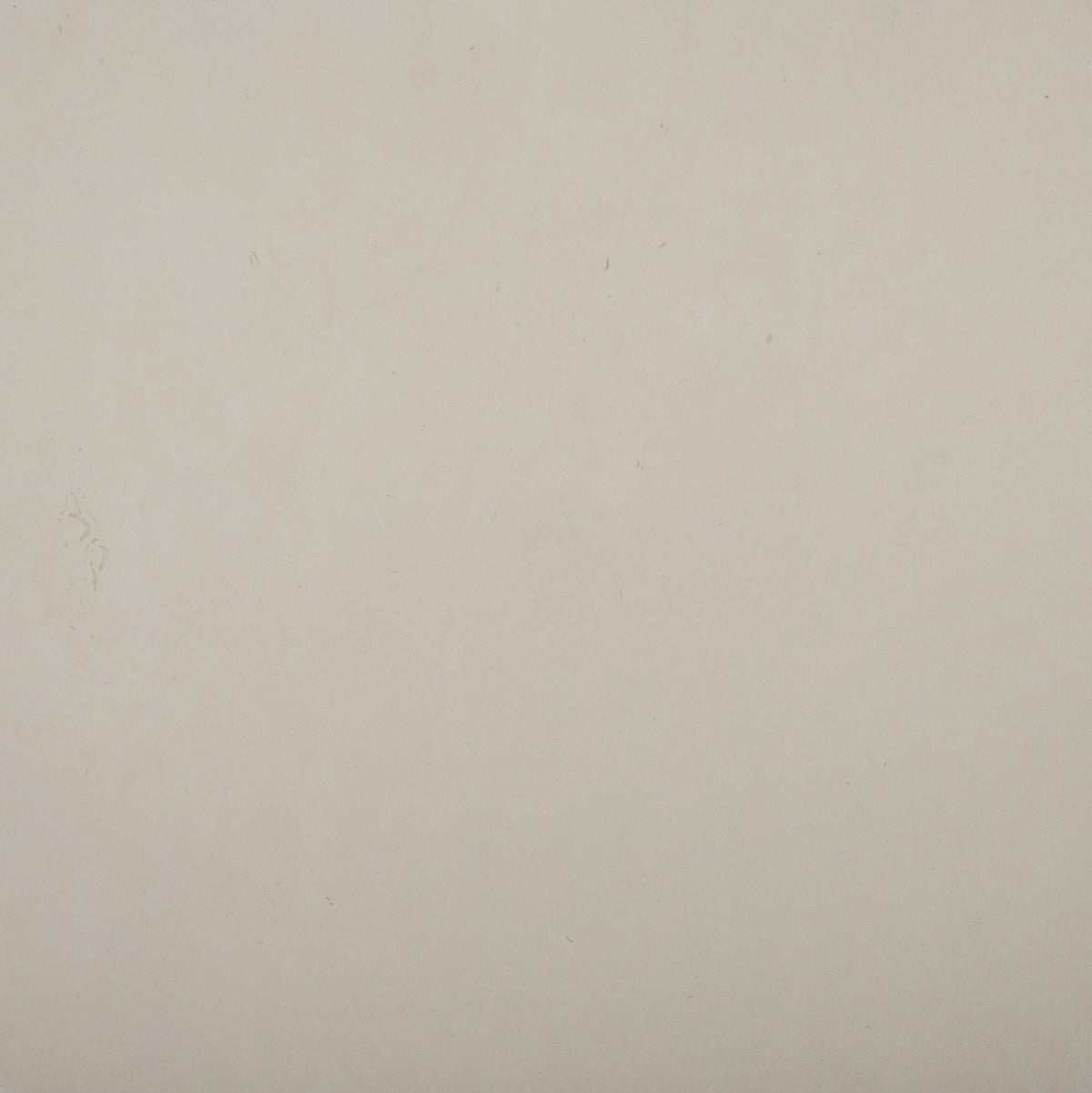 La Perla Honed 12'' x 24''  x 1/2'' Field Tile Building Materials 