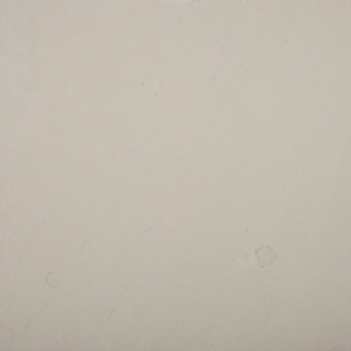 La Perla Honed 12'' x 24''  x 1/2'' Field Tile Building Materials 