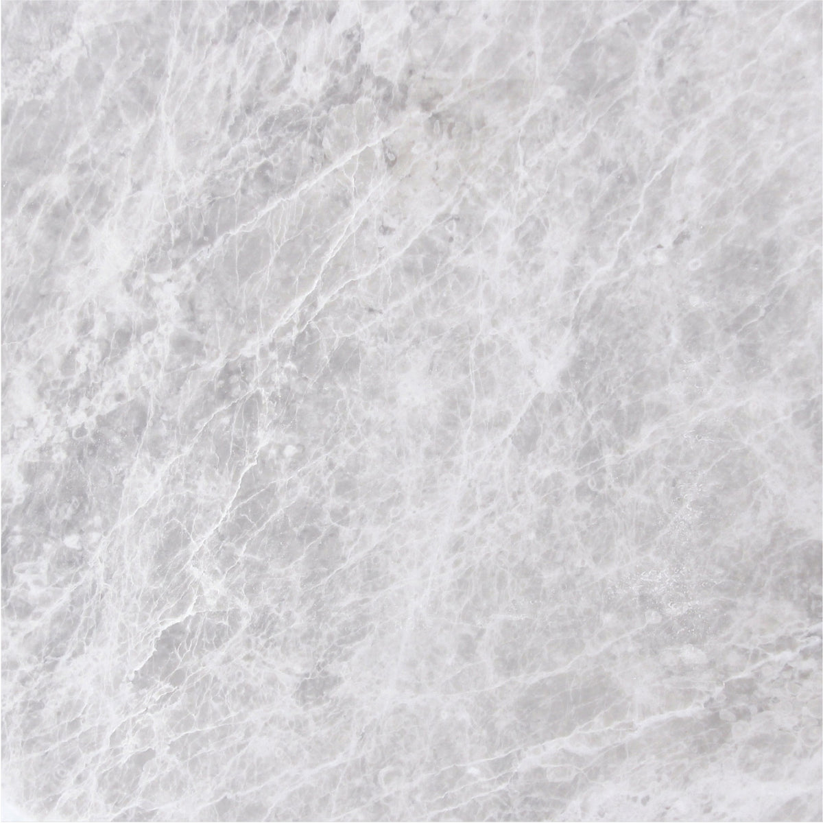 Nordic Grey Honed 18'' x 18''  x 1/2'' Field Tile