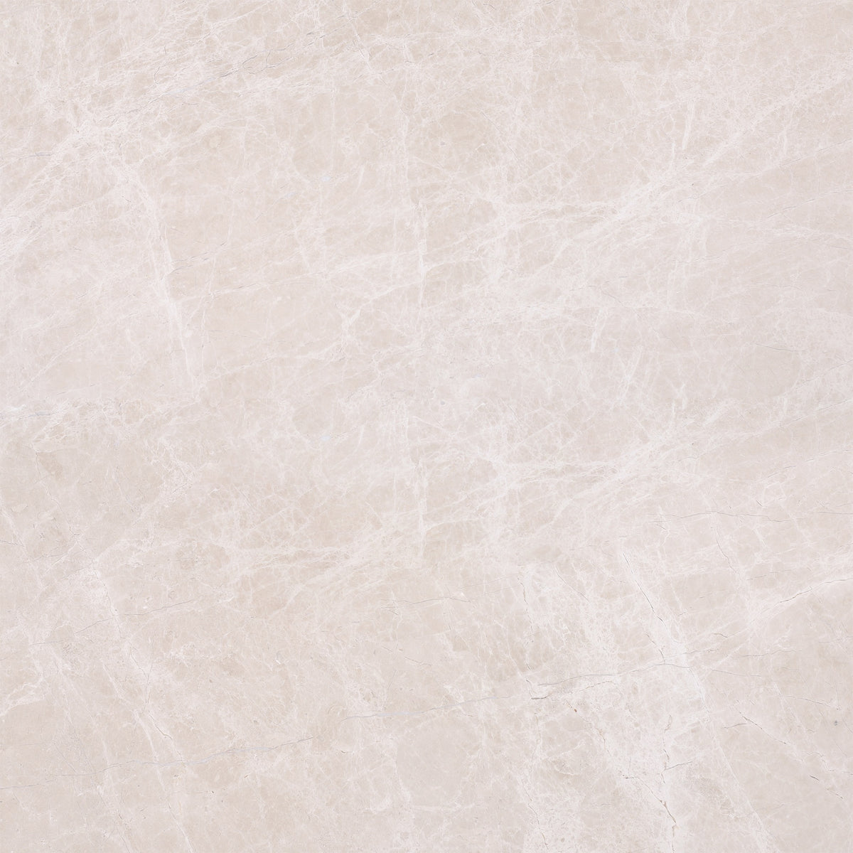 Vanillish Pearl Honed 24'' x 24''  x 5/8'' Field Tile