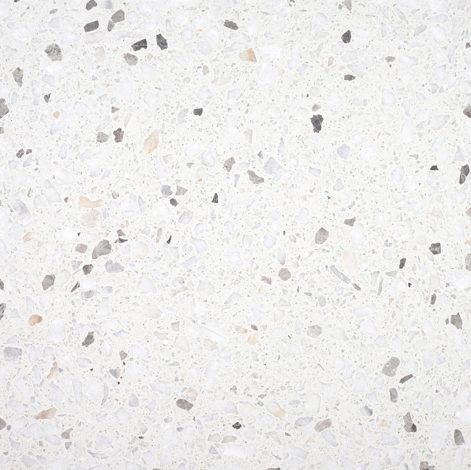 Biarritz White Honed 24'' x 24''  x 1/2'' Terrazzo Field Tile #44 Building Materials 