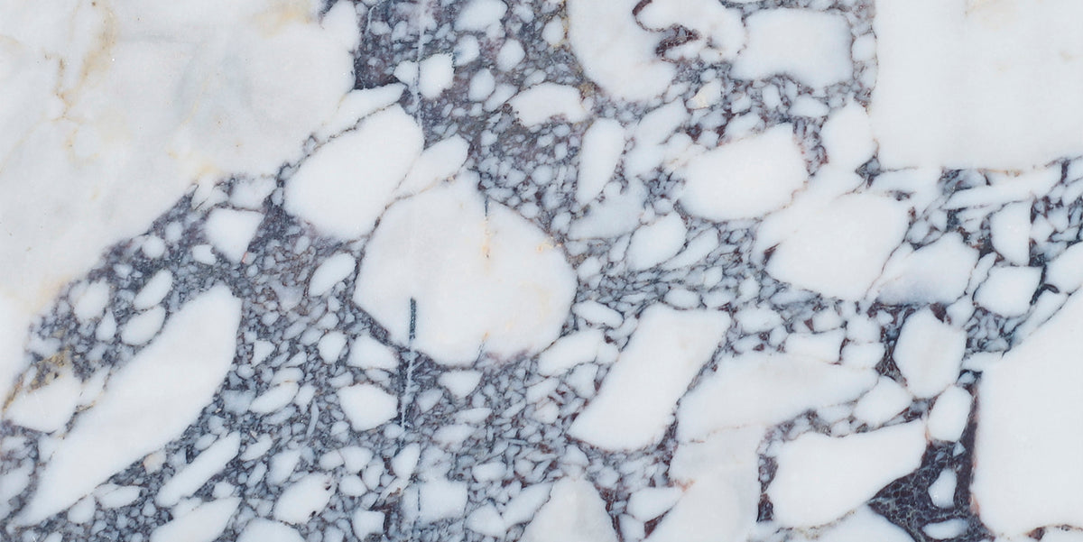 Calacatta Viola Polished 6&#39;&#39; x 12&#39;&#39;  x 3/8&#39;&#39; Field Tile