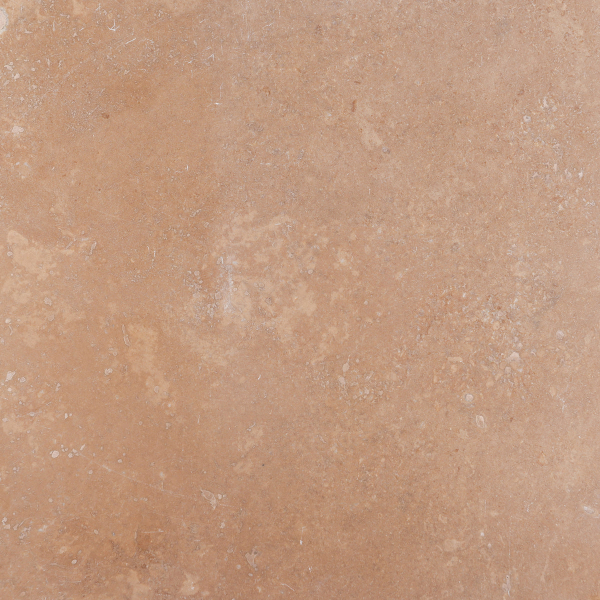 Noce Dark CC Polished 12'' x 12''  x 3/8'' Field Tile