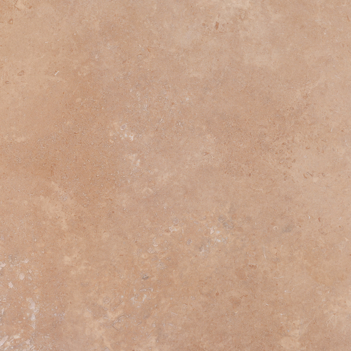 Noce Dark CC Polished 12'' x 12''  x 3/8'' Field Tile