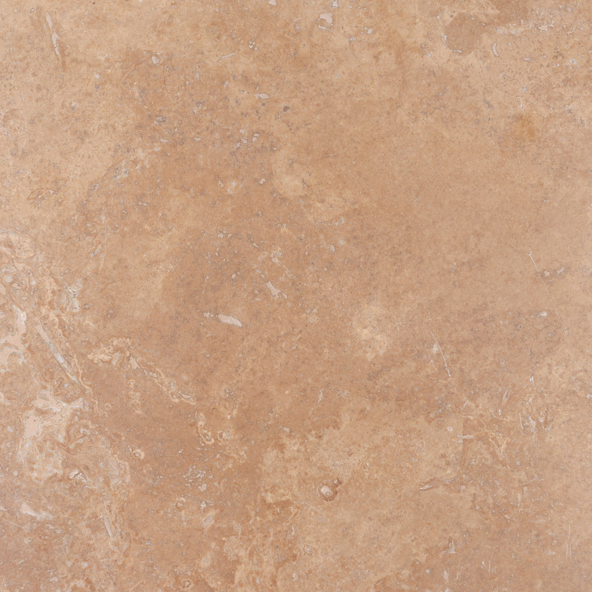 Noce Dark CC Polished 12'' x 12''  x 3/8'' Field Tile