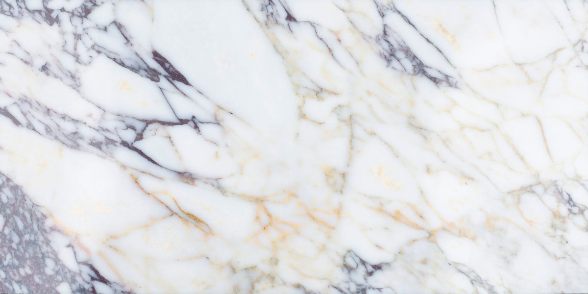 Calacatta Viola Honed 12'' x 24''  x 3/8'' Field Tile