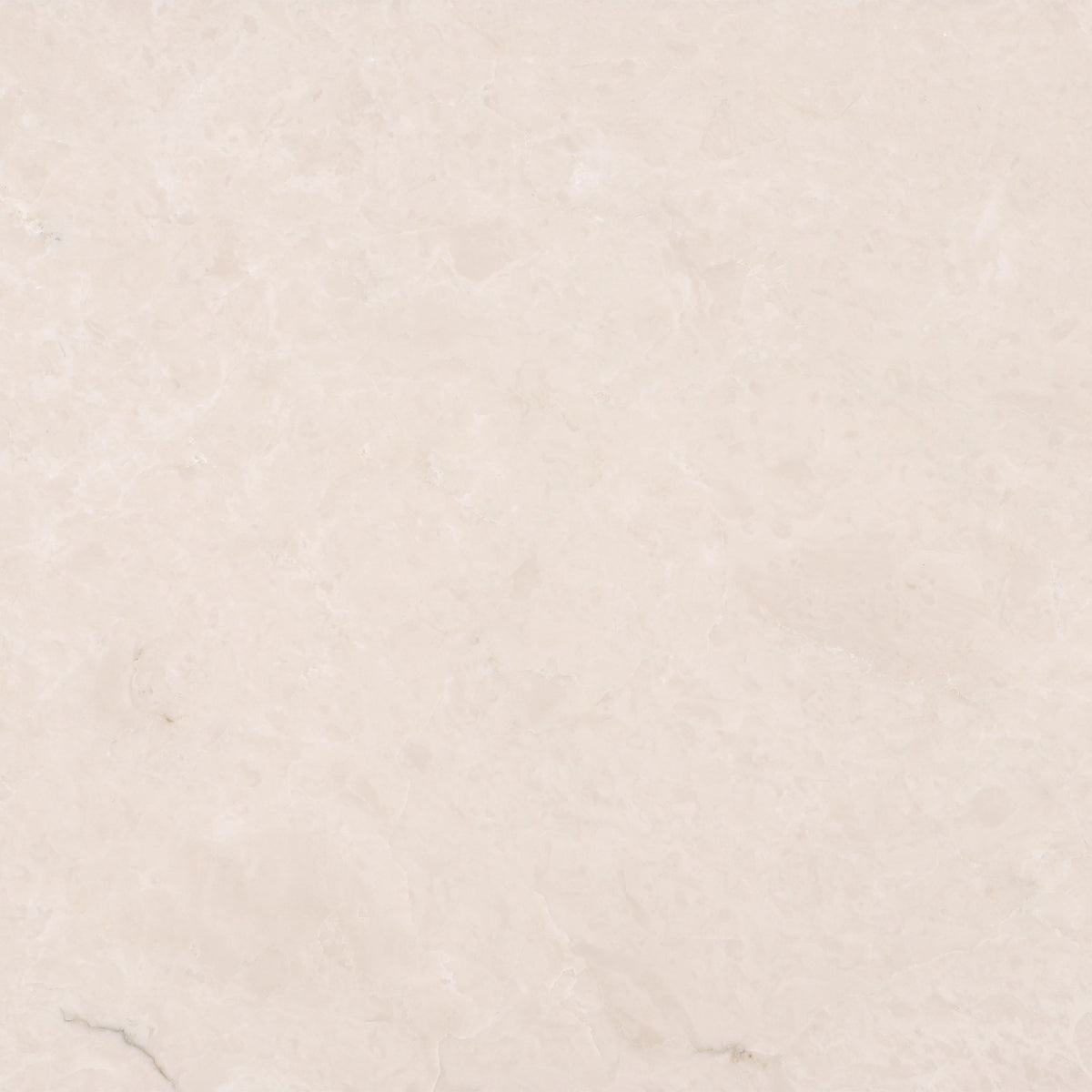 Crema Ella Polished 12'' x 12''  x 1/2'' Field Tile Building Materials 
