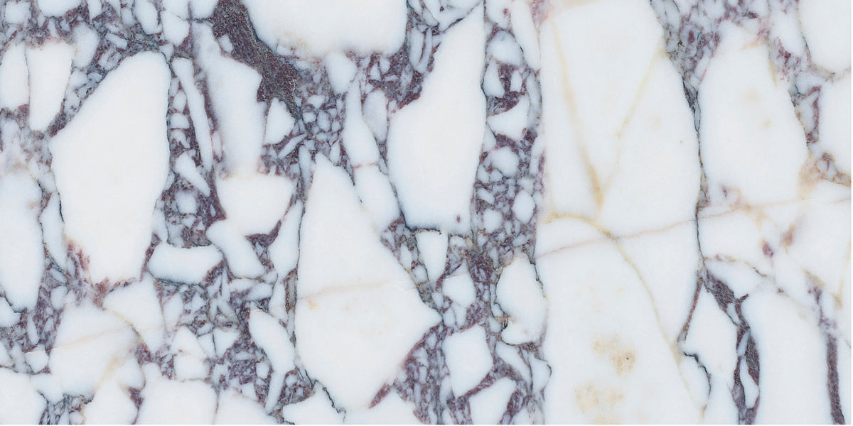 Calacatta Viola Polished 6&#39;&#39; x 12&#39;&#39;  x 3/8&#39;&#39; Field Tile