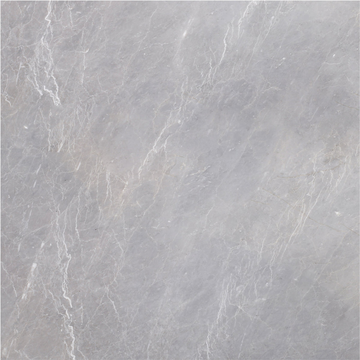 Earth Grey Honed 18'' x 18''  x 1/2'' Field Tile