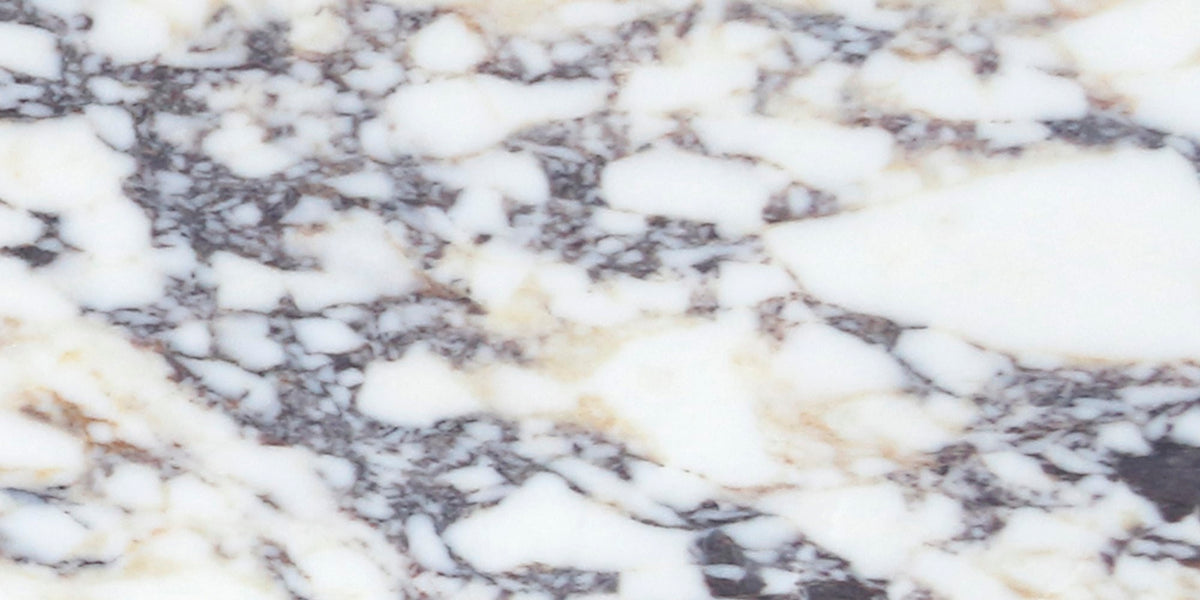 Calacatta Viola Honed 12'' x 24''  x 3/8'' Field Tile